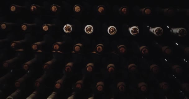 En una bodega de muchos viejos botellas de vino tinto sin etiqueta — Vídeos de Stock