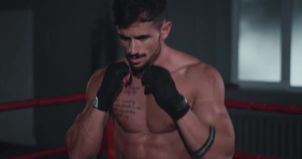 En el medio del ring de boxeo atlético hombre carismático tienen un entrenamiento de trabajo intenso boxeo — Vídeos de Stock