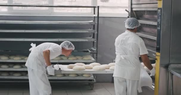 En una gran panadería de fabricación dos wot carga de la estantería de la masa cruda en la máquina de horno industrial para obtener la panadería, industria alimentaria — Vídeo de stock