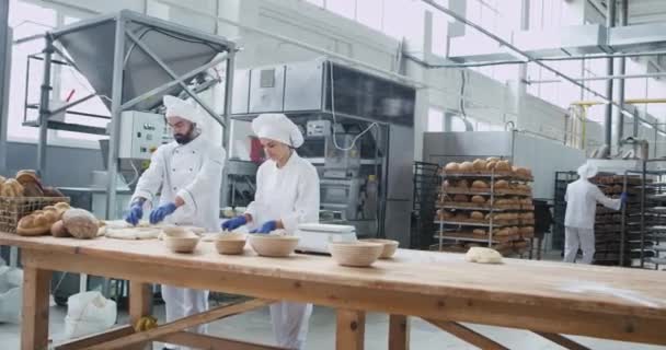 Big bakery industry two bakers working concentrated forming pieces of dough for baking bread background big bakery industrial machine — ストック動画