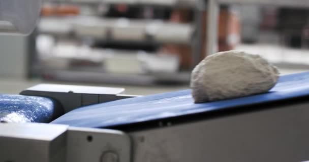 Closeup details of automated conveyor belt raw dough on the line in a food industry , bakery manufacturing — 비디오