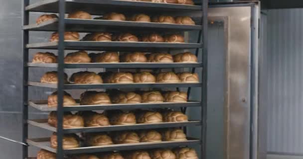 Процесс загрузки хлеба-выпечки в промышленную печь, булочник грузить большие полки рядом с ним пищевой инженер контролирует весь процесс — стоковое видео