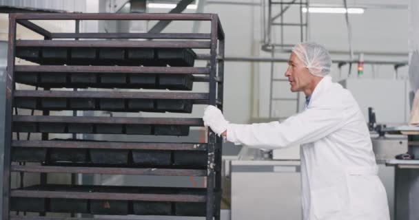 Primer plano antiguo trabajador profesional y asistente cargar los estantes de pan en la máquina de horno industrial para obtener hornear el pan que llevaba equipo especial uniforme blanco — Vídeos de Stock