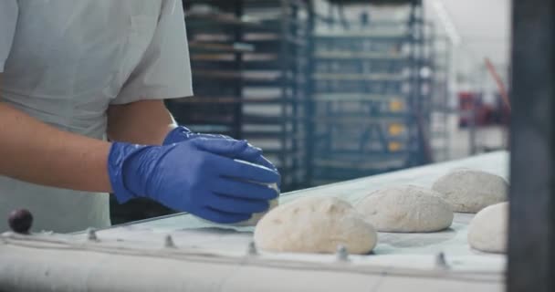 Przemysł piekarniczy profesjonalny piekarz wziąć surowy chleb i obciążenia na półce, aby być gotowe do załadunku w maszynie piekarnika przemysłowego — Wideo stockowe