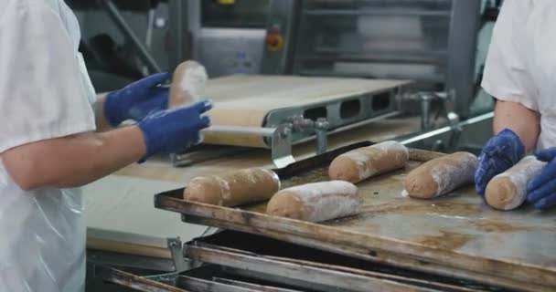 Em uma grande cozinha comercial trabalhadores padaria formando a partir de massa belo pão cru pronto para ser assar na máquina do forno — Vídeo de Stock