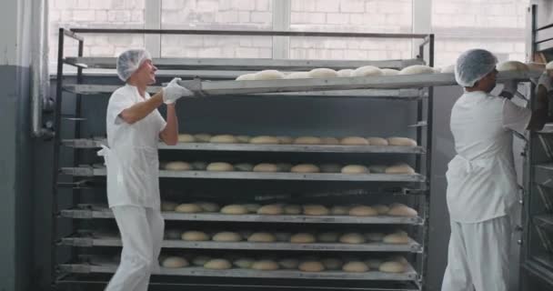 Due panettieri professionisti in bianco carico uniforme dallo scaffale tutto il pane crudo si preparano a trasportare il pane in forno — Video Stock