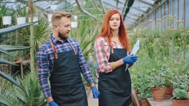 In einem großen Blumengewächshaus analysieren die rothaarige Gärtnerin und ihr Kollege den Gesundheitszustand der Pflanze und unterhalten sich freundlich — Stockvideo