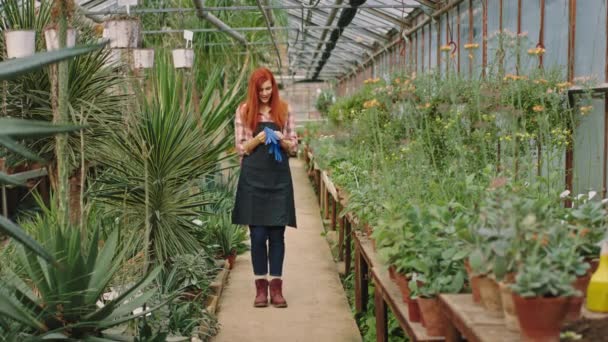 Mooie dame tuinier tijdens het lopen door de bloemenkas maak je klaar om te beginnen met de inspectie van planten ze draagt haar blauwe handschoenen — Stockvideo