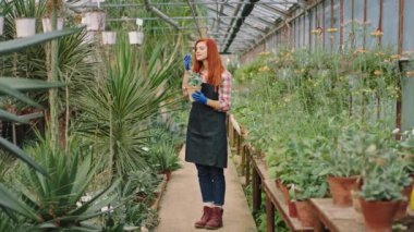 Very friendly and good looking gardener female in a large flower greenhouse smelling very carefully and with love a plant from a pot she enjoying the time at her work place