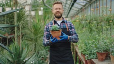 Very awesome looking guy gardener stand up in front of the camera and looking straight while holding a pot with a decorative plant in a large flower greenhouse