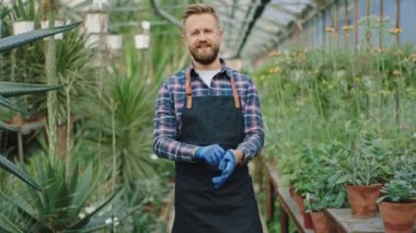 Good looking smiling large gardener in a big flower greenhouse looking straight to the camera smiling large and wearing his blue gloves get ready to start the work. 4k
