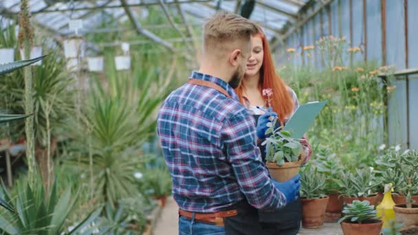 Beautiful redhead florist and man gardener walking through the flower greenhouse and analyzing the plants make some notes on the map — Wideo stockowe