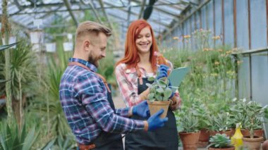 Mutlu ve karizmatik iki bahçıvan tüm bitkileri incelerken büyük bir çiçek serasındaki haritaya bazı notlar alır. ARRI Alexa Mini 'de çekilen