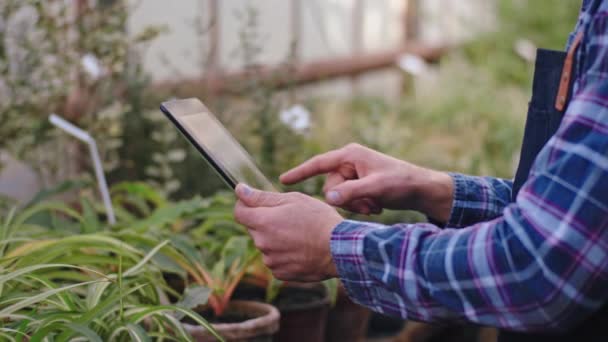 Details Männerhände, die eine moderne Tablette in einem landwirtschaftlichen Gewächshaus halten, machen sich Notizen und machen einige Bilder von dekorativen Pflanzen — Stockvideo