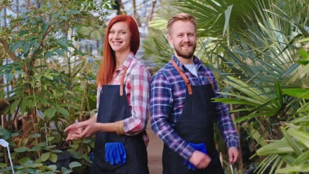 Buena pareja jardinero en el uniforme mirando directamente a la cámara en un gran invernadero que sonríe a lo grande y tienen las manos cruzadas — Vídeos de Stock