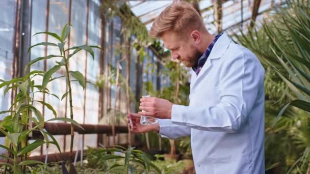 Κοντά χαρισματικός τύπος γεωπόνος επιστήμονας έριξε μερικές βιταμίνες πάνω από ένα διακοσμητικό φυτά σε ένα μεγάλο θερμοκήπιο που εργάζεται πολύ συγκεντρωμένο. Πυροβολισμός στο Arri Alexa Mini — Αρχείο Βίντεο