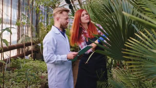 Científico agrónomo guapo y señora jardinero con pelirroja que analizan el estado de las plantas decorativas del invernadero — Vídeos de Stock