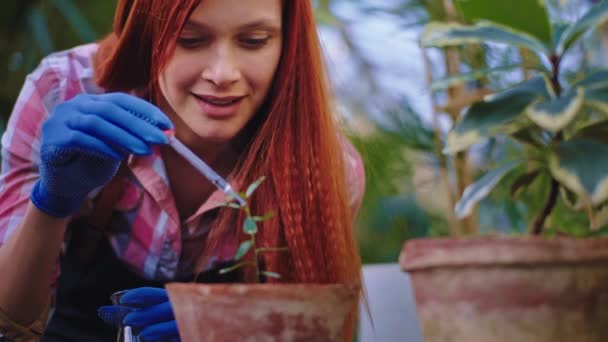 Mooie dame tuinman met roodharige zet een aantal druppels vitaminen over de decoratieve planten — Stockvideo