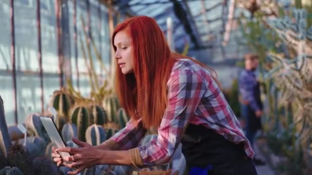 Великолепная девушка-садовница с рыжей головой делает заметки о состоянии растений в своей электронной табличке посреди теплицы. 4k — стоковое видео