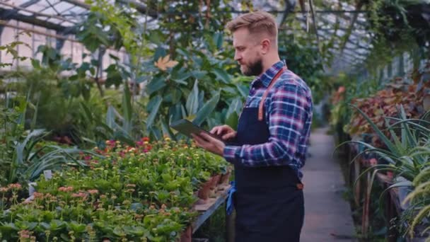 En un gran hombre jardinero de invernadero industrial tener cuidado después de las plantas que utiliza una tableta y hacer algunas notas. 4k — Vídeo de stock