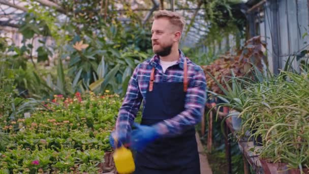 Χαμογελώντας κηπουρός νεαρός άνδρας κρατώντας ένα ψεκαστήρα παίζει λίγο στη συνέχεια θέτει μπροστά από την κάμερα σε ένα μεγάλο θερμοκήπιο — Αρχείο Βίντεο