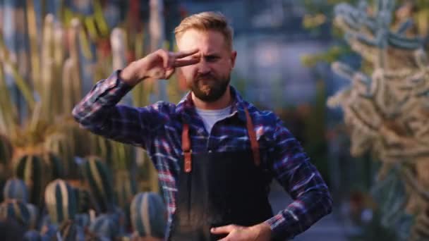 Très attrayant gars blonde jardinier de cheveux ont un plaisir au travail dansant au milieu de la serre agricole — Video