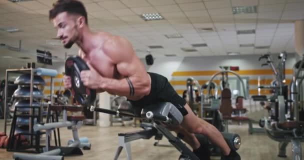 Cours de gym moderne homme attrayant travaillant sur ses abdos, il obtient des exercices très concentrés de sueur pour son muscle pour obtenir plus fort — Video