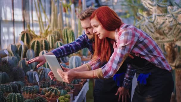 Nagyszerű pár kertész van egy saját üzleti mezőgazdasági üvegház csinálnak néhány képet egy tabletta. 4k — Stock videók