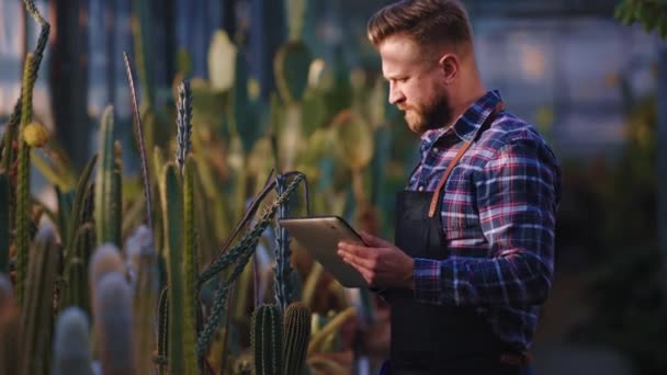 Great looking guy gardener take some notes on his tablet and check the condition of plants in his own agricultural greenhouse. Shot on ARRI Alexa Mini — Stockvideo