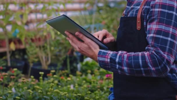 Gardener closeup to the camera take some notes on his electronic tablet about the condition of decorative plants in a big industrial greenhouse — Stockvideo