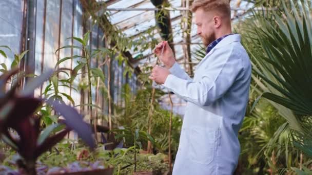 Hombre joven científico agrícola concentrado con bañera de vidrio poner algunas gotas de vitaminas en las plantas decorativas — Vídeo de stock