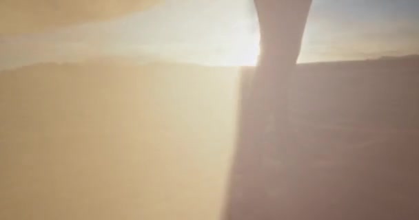 Nahaufnahme in einem sonnigen Tag Dame in einem schönen Kleid zu Fuß durch das Sandfeld langsam hält ihr langes Kleid — Stockvideo