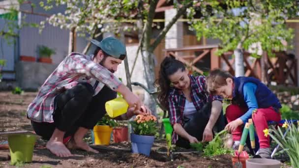 Charismatische familie hebben een leuke tijd in de tuin, terwijl het planten van een aantal bloemen moeder helpen om zijn zoon om een bloem te planten, terwijl papa werkt naast in een zonnige dag — Stockvideo