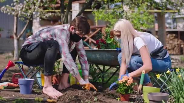 Nowa koncepcja Covid 19 para spędza czas w domu w ogrodzie sadząc kwiaty w ziemi noszą maskę ochronną ciesząc się czasem w kwarantannie — Wideo stockowe