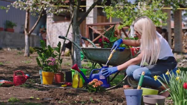 美しい庭でカリスマ的な女性と男が一緒に植えの花を楽しむとき、彼らは一緒に植物に水をやる — ストック動画