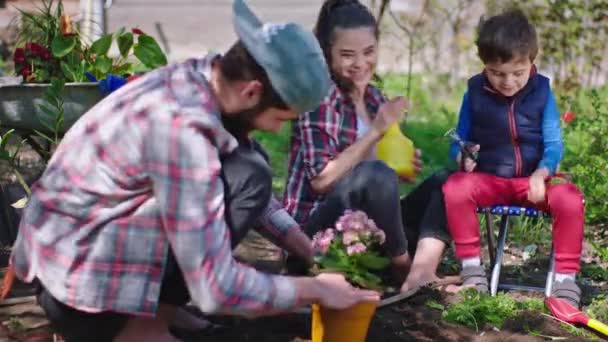両親と一緒に庭で楽しい時間を過ごしているかなり小さな男の子は、水と植物を地面に植えます。4k — ストック動画