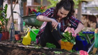 Karizmatik, konsantre bir bayan güneşli bir günde bahçenin ortasındaki çömleklerden çıkan çiçeklere dikkat eder.