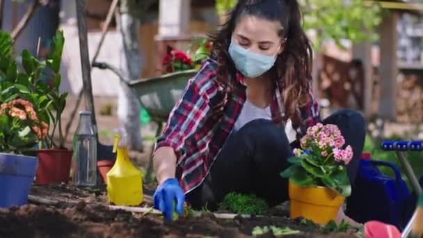 No jardim de boa aparência senhora com máscara protetora trabalhando concentrada ela cuidar depois que as flores dos vasos, enquanto é quarentena ficar em casa novo Covid-19 — Vídeo de Stock