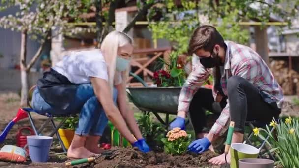 Godendo il tempo insieme coppia nel giardino nella quarantena del Coronavirus piantano i fiori nel terreno godendo il tempo a casa — Video Stock
