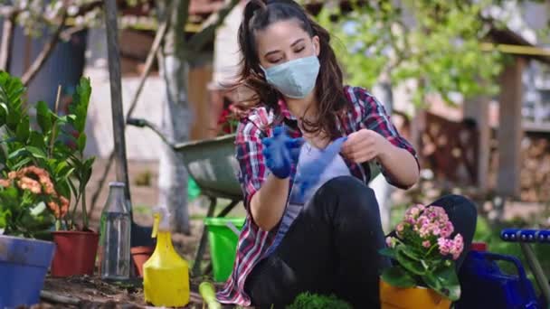 Delante de la cámara hermosa dama con máscara protectora con guantes azules para comenzar el trabajo en el jardín plantando algunas flores en el concepto de cuarentena de Coronavirus — Vídeos de Stock