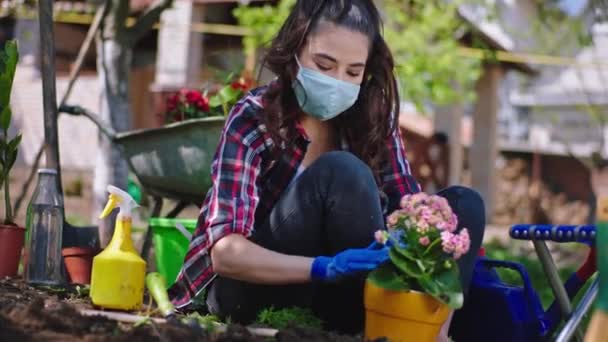 Концептуальна дама з захисною маскою в саду подбайте про квіти з горщика, який вона зосередила, працюючи і насолоджуючись часом на карантині — стокове відео
