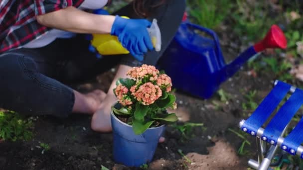 Nella donna giardino godendo il tempo con i fiori formano la pentola spruzza i fiori con acqua utilizzando un irrigatore — Video Stock