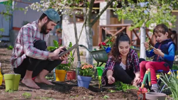 庭で彼の両親と面白い小さな男の子は、地面にいくつかの植物を一緒に植える時を楽しんでいます — ストック動画