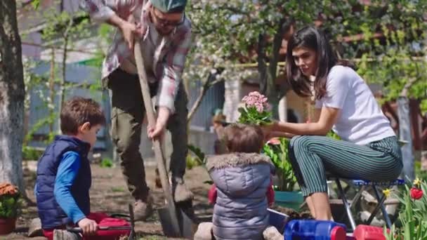 Vonzó szülők és két gyerekük együtt töltik az idejüket a kertben, virágokat ültetnek a fazékból a földbe, és élvezik a friss levegőt. — Stock videók