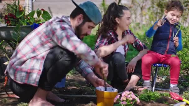 Lycklig mamma och pappa njuter av tiden med sin lilla son i trädgården de spelar roliga plantering växter och känner upphetsad — Stockvideo