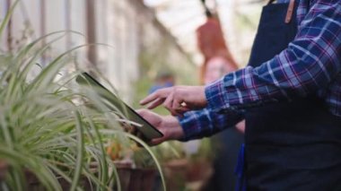 Bir bahçıvanın detayları bir seradaki dekoratif bitkilerin resimlerini çeker diğer kızıl saçlı bahçıvan kadın diğer dekoratif bitkilerle ilgilenir. ARRI Alexa Mini 'de çekilen