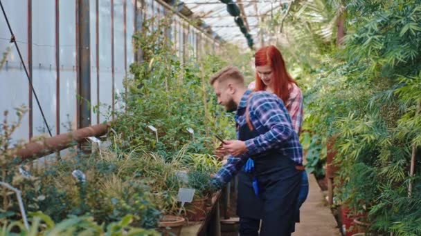 Σε ένα ηλιόλουστο τροπικό θερμοκήπιο κηπουρός γυναίκα με κοκκινομάλλα και ο συνάδελφός της αναλύοντας την κατάσταση των φυτών και να κρατήσει σημειώσεις στο χάρτη — Αρχείο Βίντεο