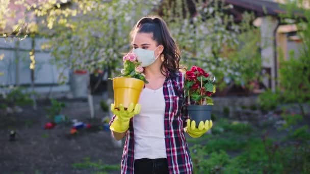 Krásná dáma s ochrannou maskou doma před kamerou drží dva květináče v karanténě pečující o květiny v Coronavirus2019. 4k — Stock video