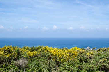 İspanya'da Atlantik Okyanusu, camino de santiago