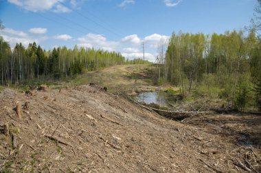 ağaçlar, kesilen ağaçlar, ormansızlaşma, orman, gökyüzü, Doğa, yaz, mavi gökyüzü